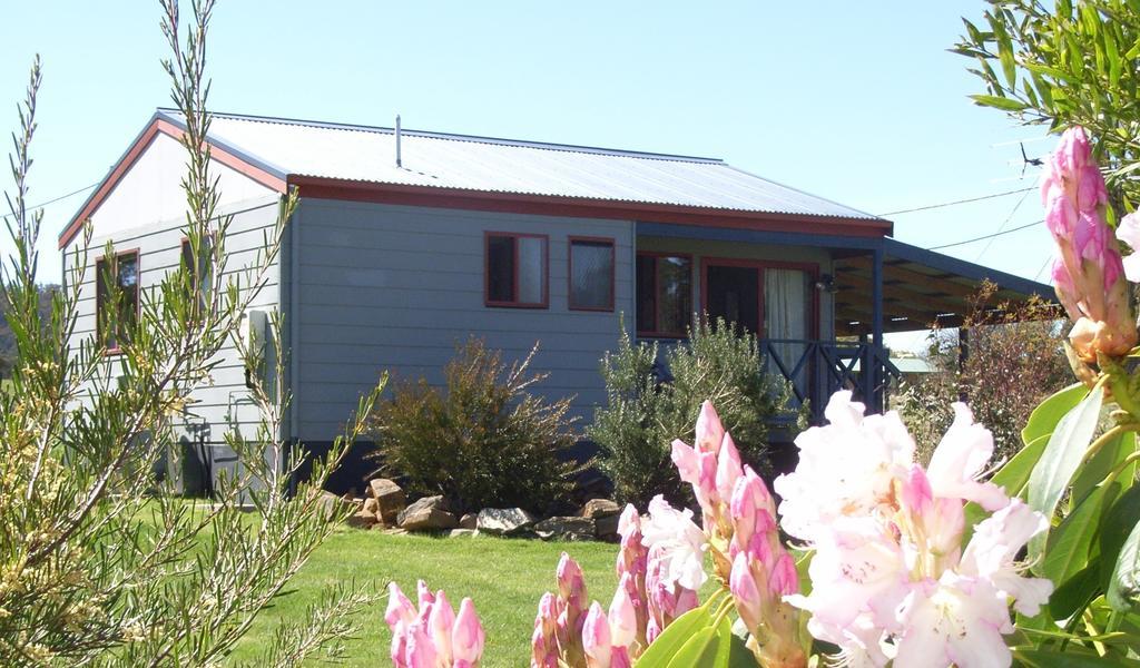 Highland Cabins And Cottages At Bronte Park Pokój zdjęcie